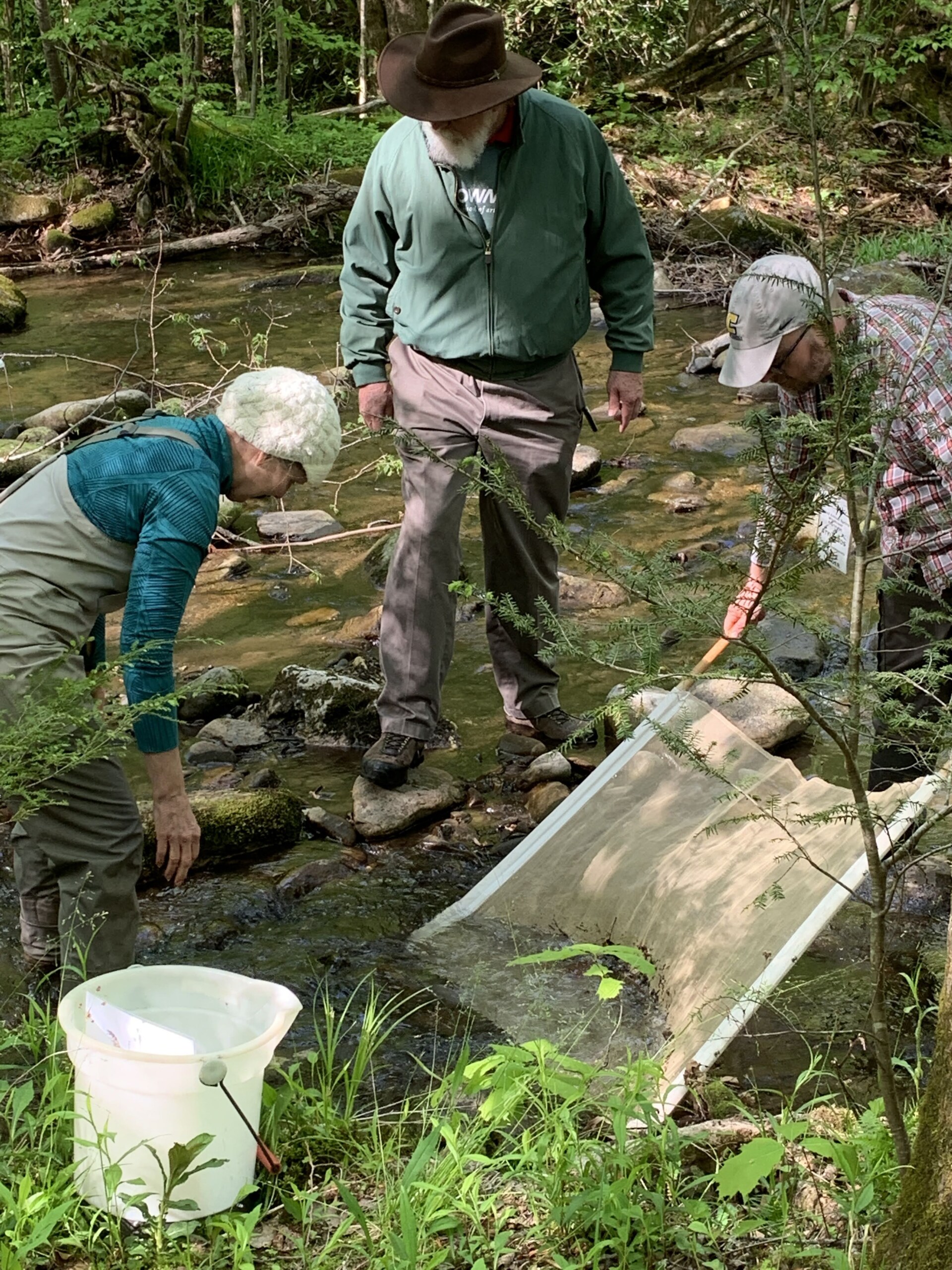 Pilgrims being introduced to hidden world of aquatic insects.