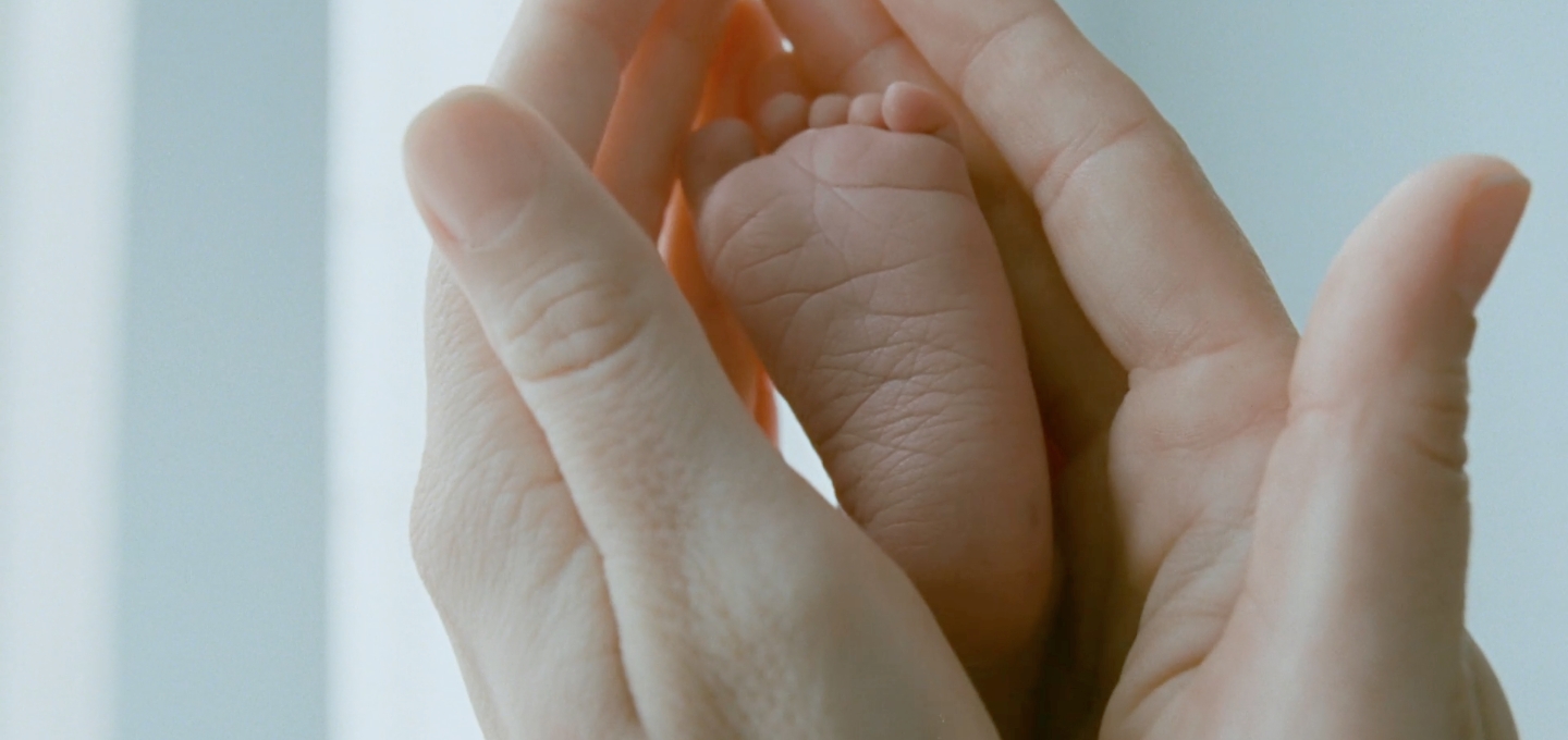 tree_of_life_hands_malick