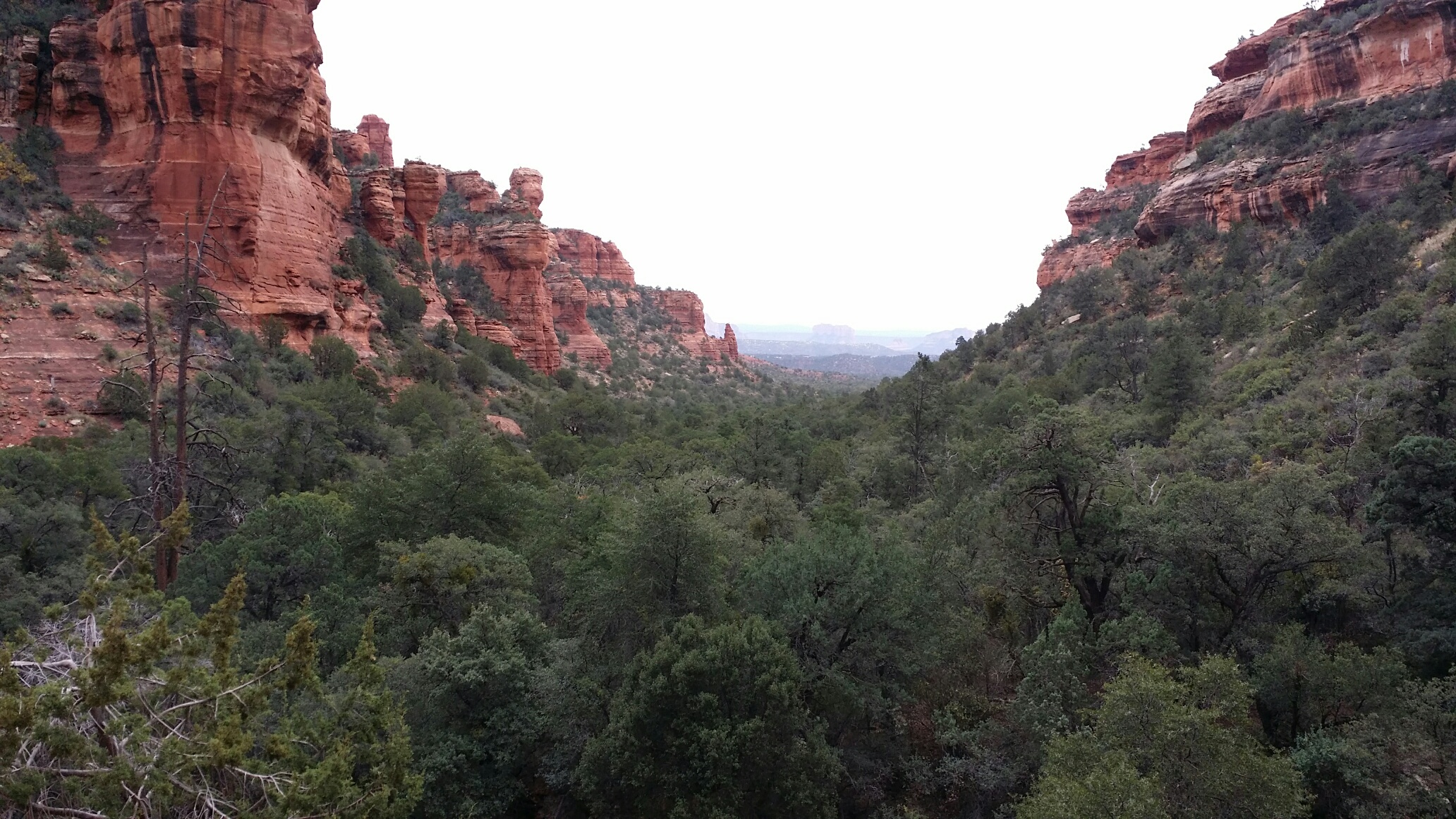 sedona-fay-canyon-view