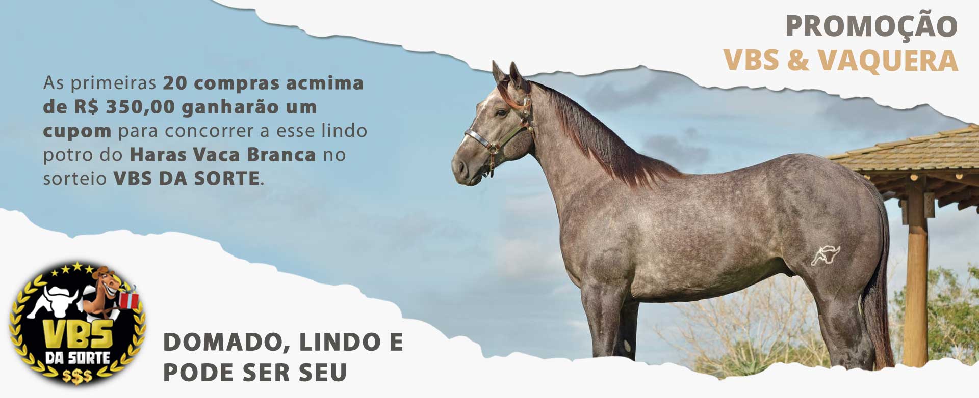 VBS da Sorte