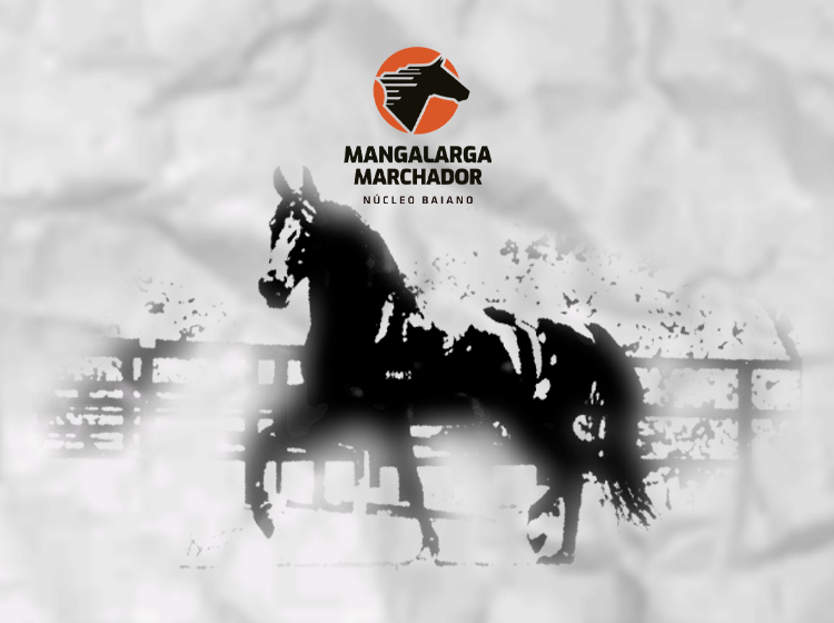 Banner nova coleção Mangalarga Marchador