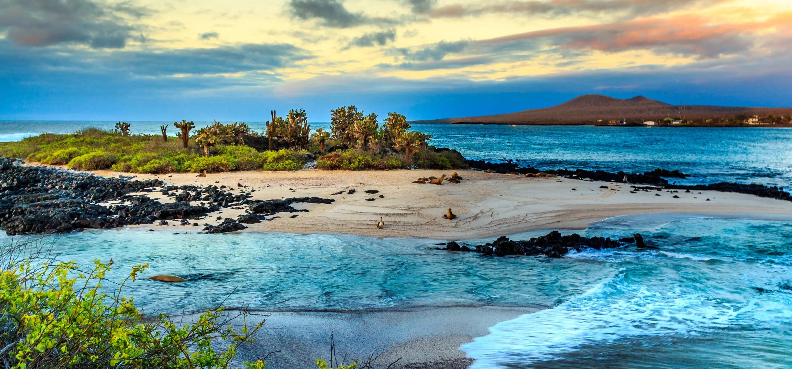Imagen Islas Galápagos