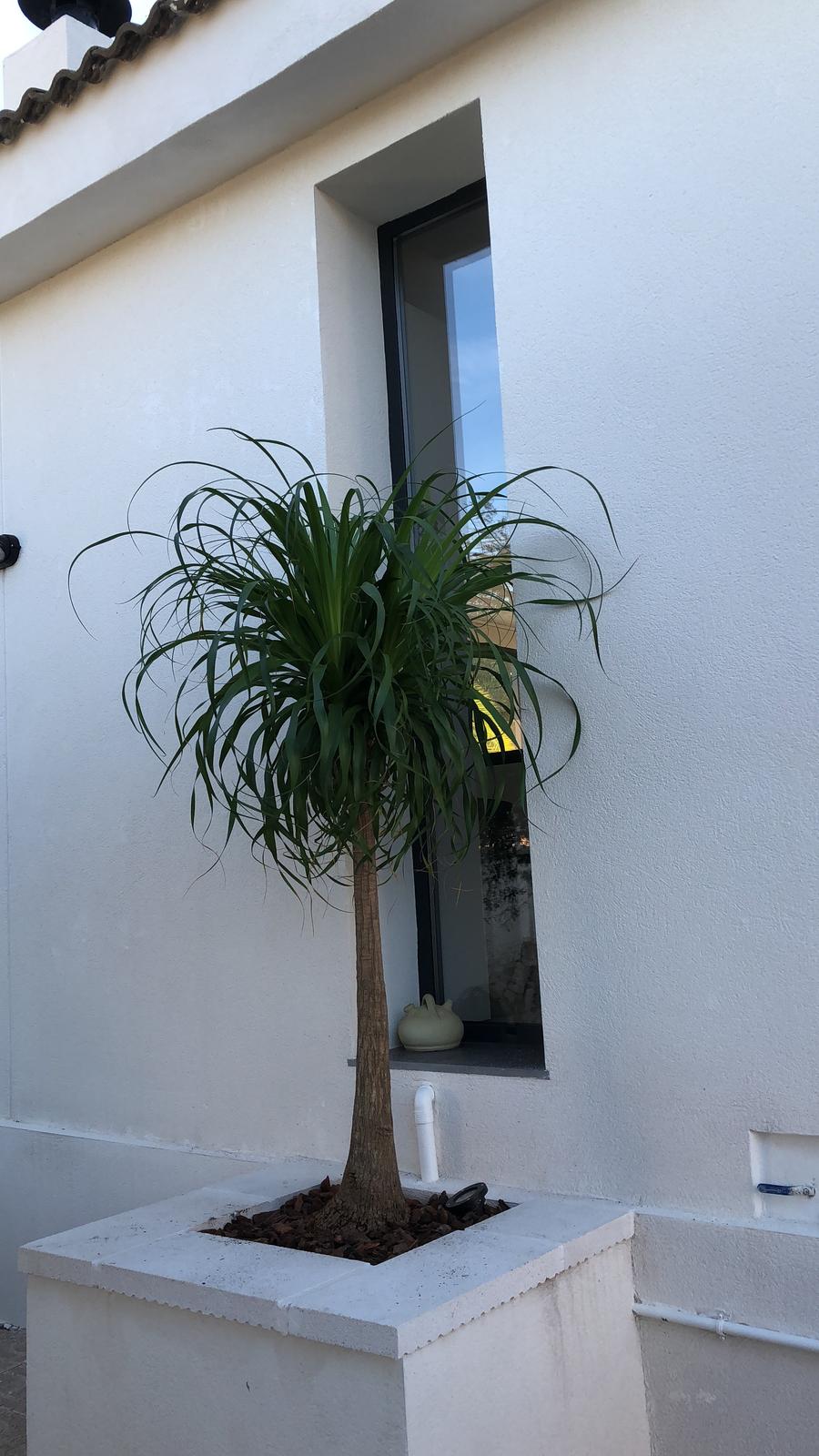 Unas Pequenas Jardineras Con Mucho Estilo En El Chalet De Urb Girasoles El Blog De Ferpas