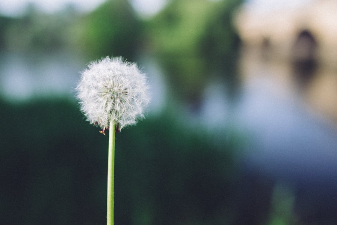 [WI] 3 Easy Ways To Live Well Beneath Your Means Without Losing Out