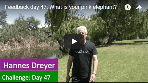 [Day 47] What Is Your Pink Elephant?