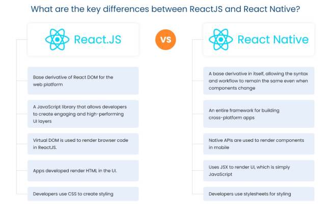 ReactJS Vs React Native: Advantages, Disadvantages, & Key Differences
