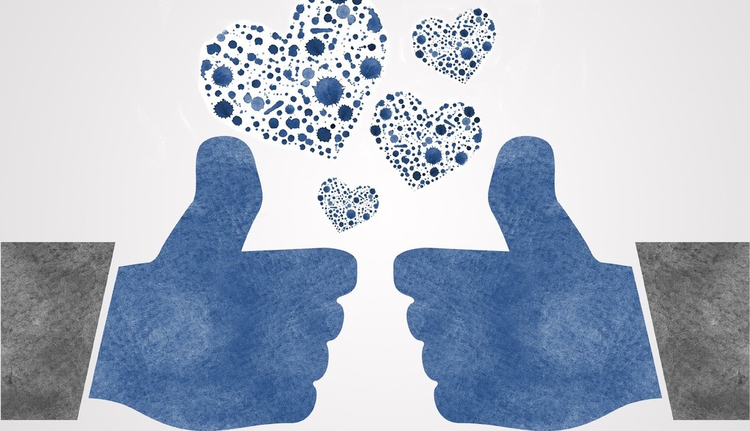 See this face right here? How To Use Wefbee S Facebook Auto Follower Auto Friend Requester Latest Version Of 2017