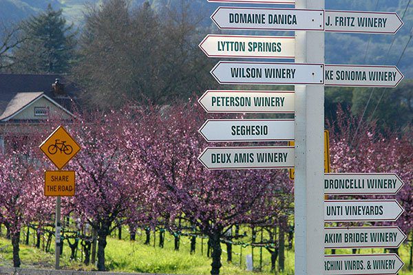 Best Dry Creek Valley Wineries