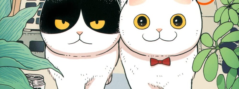 Maruru e Hachi: Os Gatinhos Companheiros | Biblioteca Brasileira