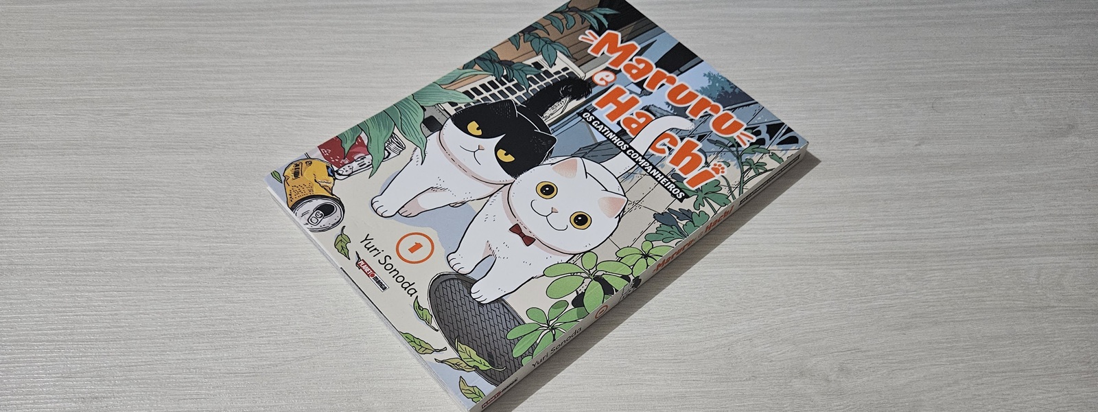 Resenha: “Maruru e Hachi: Os Gatinhos Companheiros #01