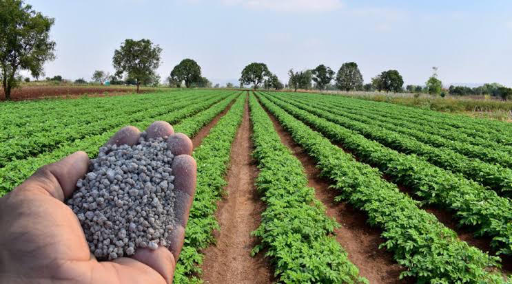 Senado aprova plano para fabricação de fertilizantes no Brasil