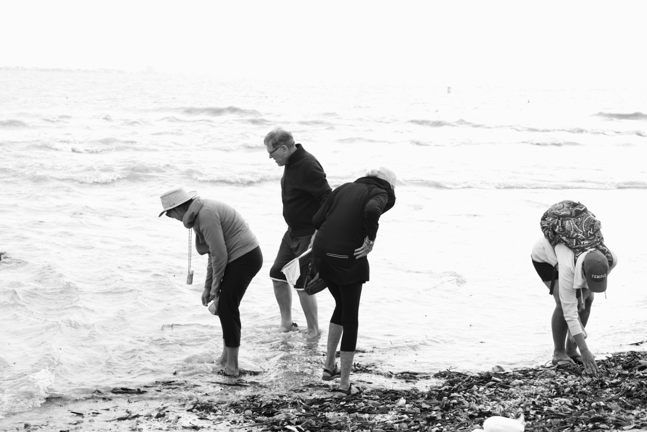 shelling-on-sanibel-island-2020-the-sanibel-stoop
