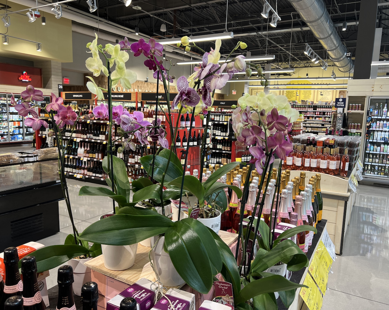 Skating and tasting at Whole Foods.