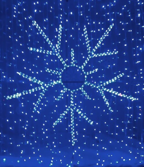 Blue star photo courtesy of Carolyn Classen