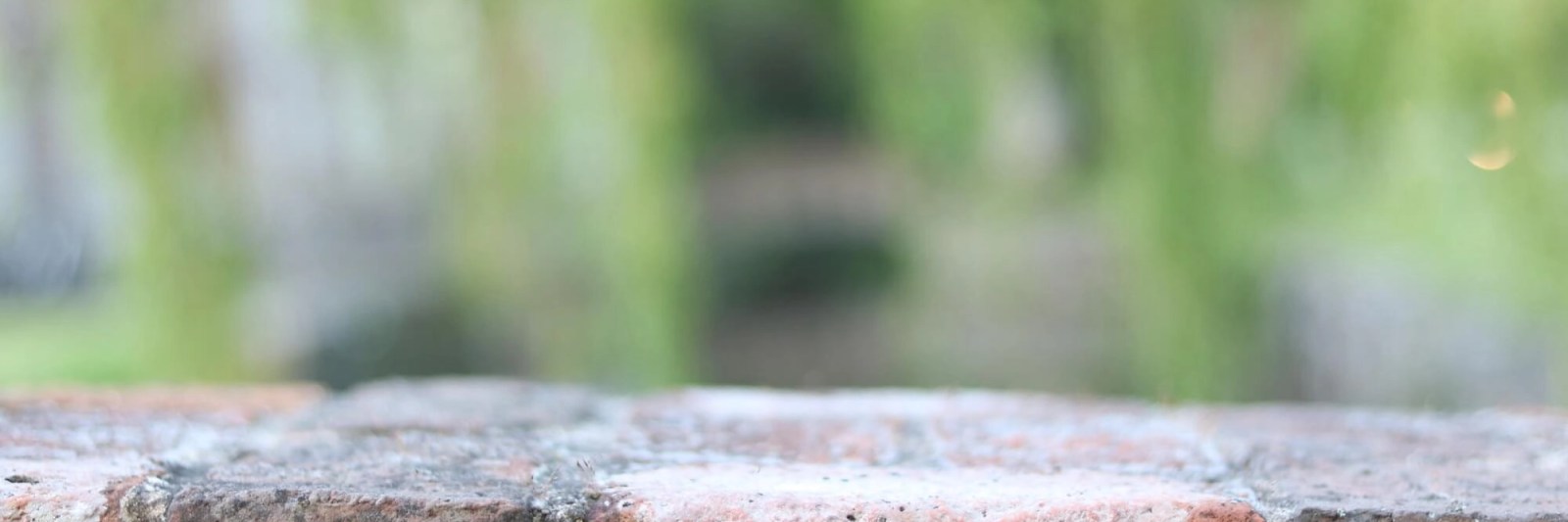 Cornerstone Content