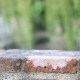 Cornerstone Content