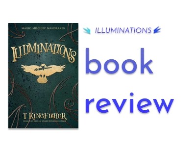 Book Review : Illuminations - Blogging with Dragons
