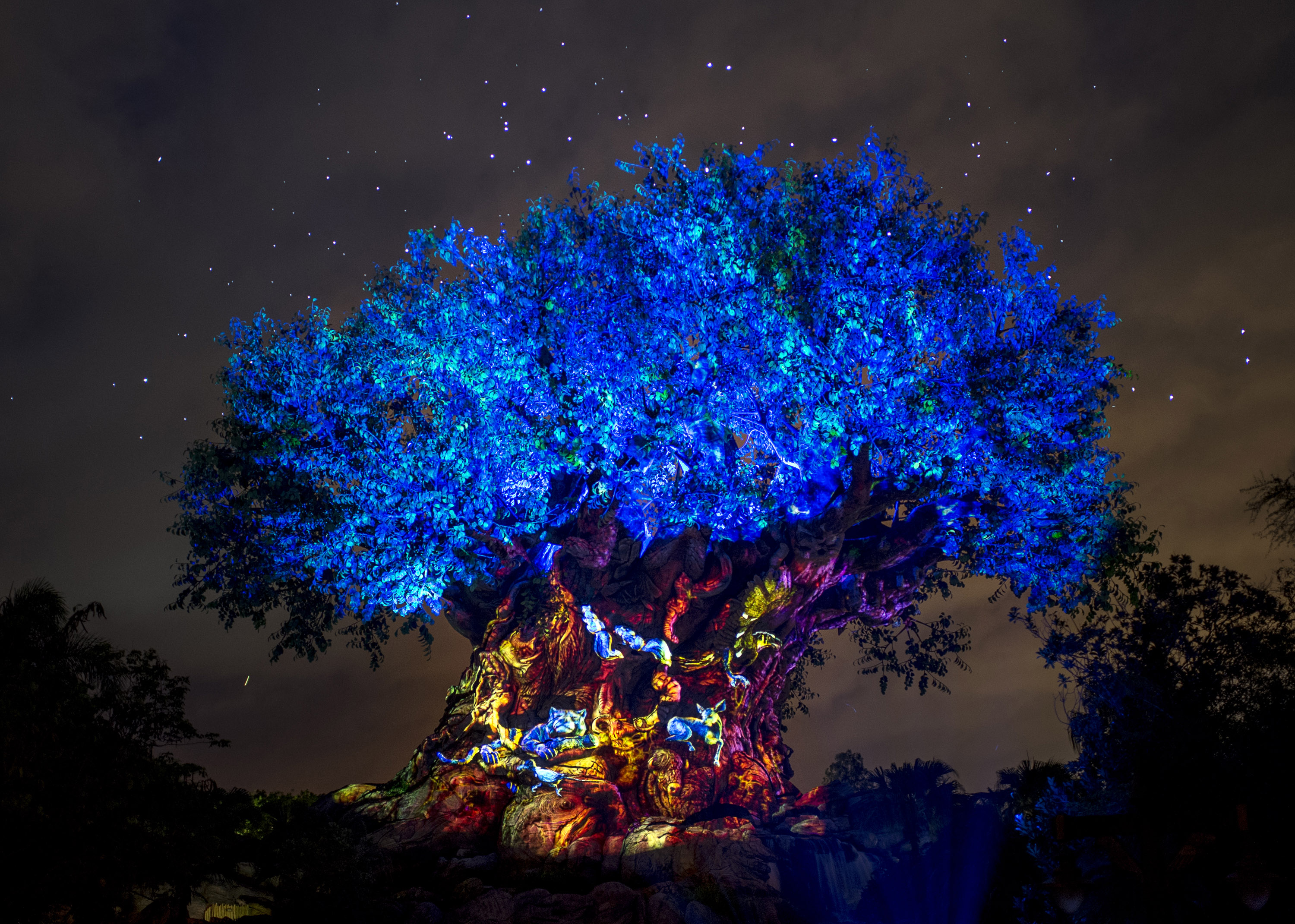 Disney S Animal Kingdom Walt Disney World Wdw Theme Parks