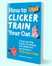 Read more about the article How To Train Your Cat To Walk On A Leash [And Not Hate It]
