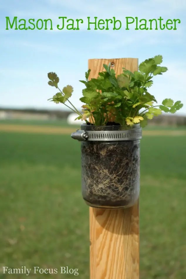 DIY Mason Jar Planter: Create Your Own Herb Garden