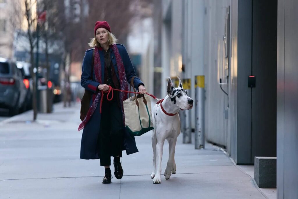 The Friend Movie Review: A Tender Tale of Grief, Dogs & Healing