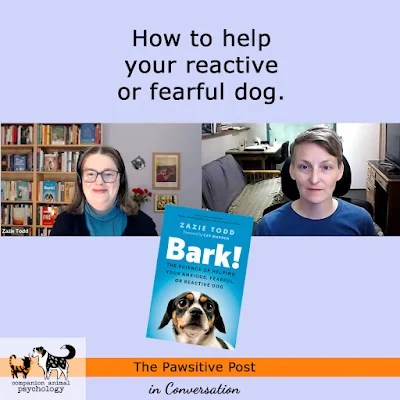 How to Help Your Reactive or Fearful Dog: 3 Tips You Need to Know