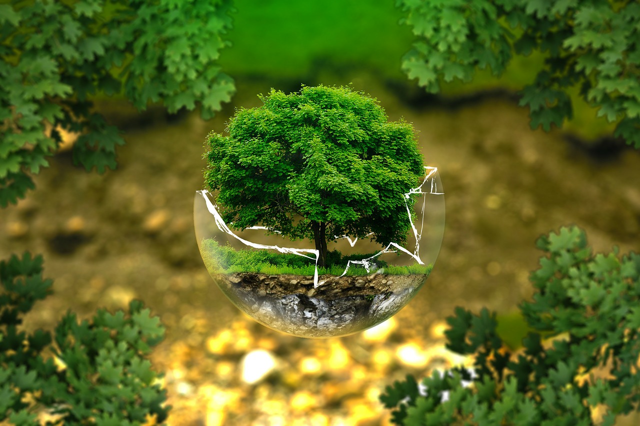 new-approach-eco-living