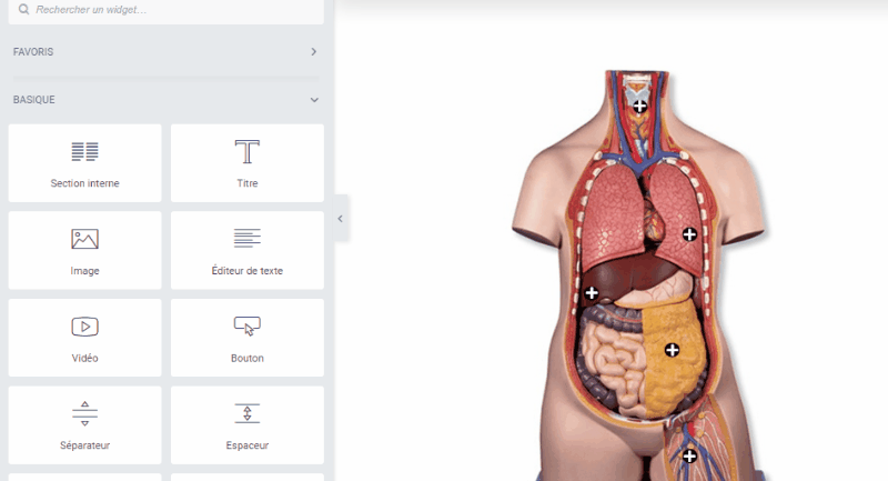 نحوه ایجاد-یک-تصویر-تعاملی-با-هت اسپات-در-وردپرس-11 » BlogPasCher یک تصویر تعاملی با Hotspots در وردپرس با Elementor ایجاد کنید