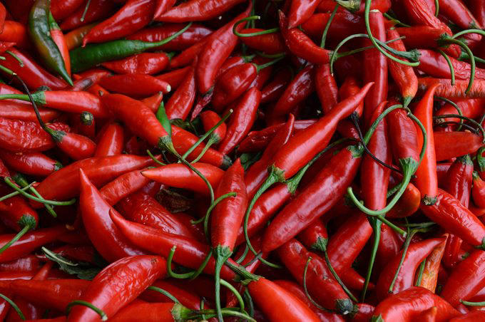 Red pepper (Pimenta Dedo-de-moça) Red pepper (Pimenta Dedo-de-moça)