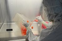 A scientist in full protective gear working in a laboratory on research with cell cultures.
