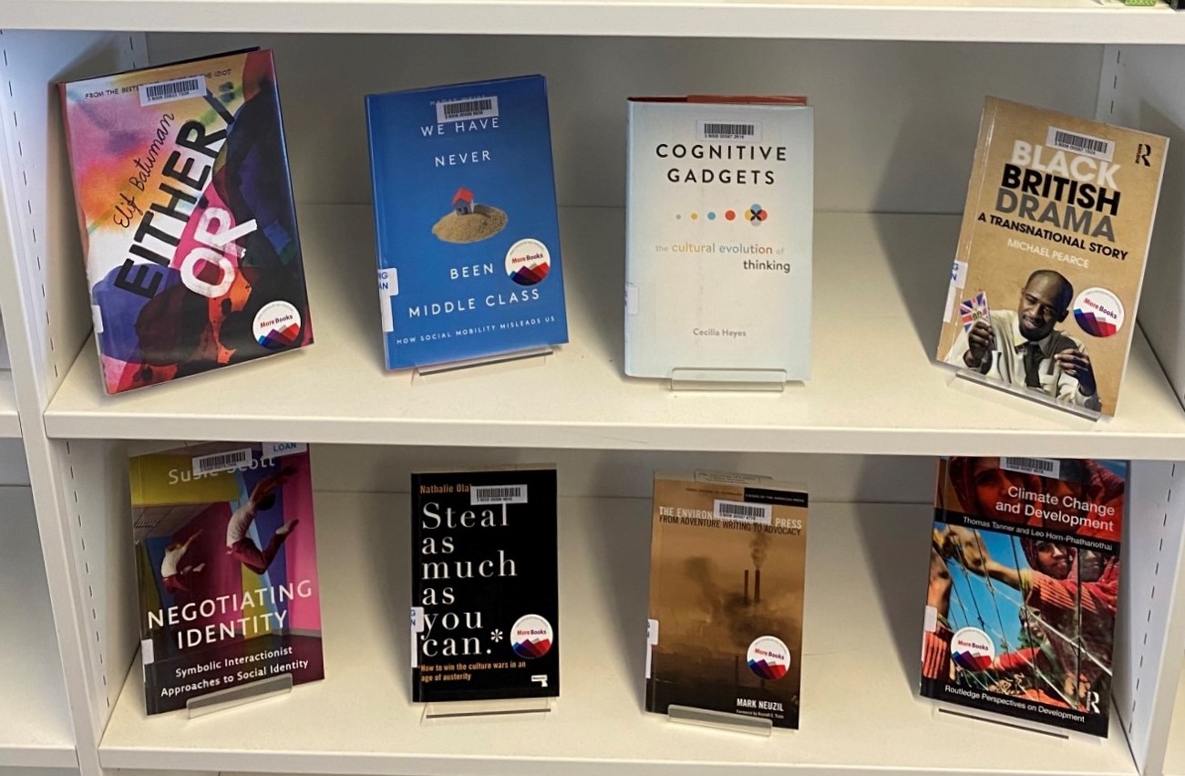 Print books on display on shelves