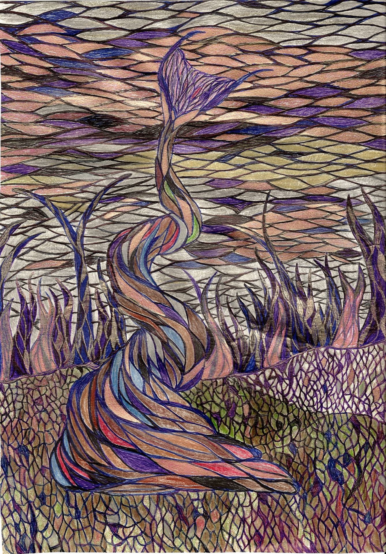 Ted Hinman Spring 2021 Independent Study