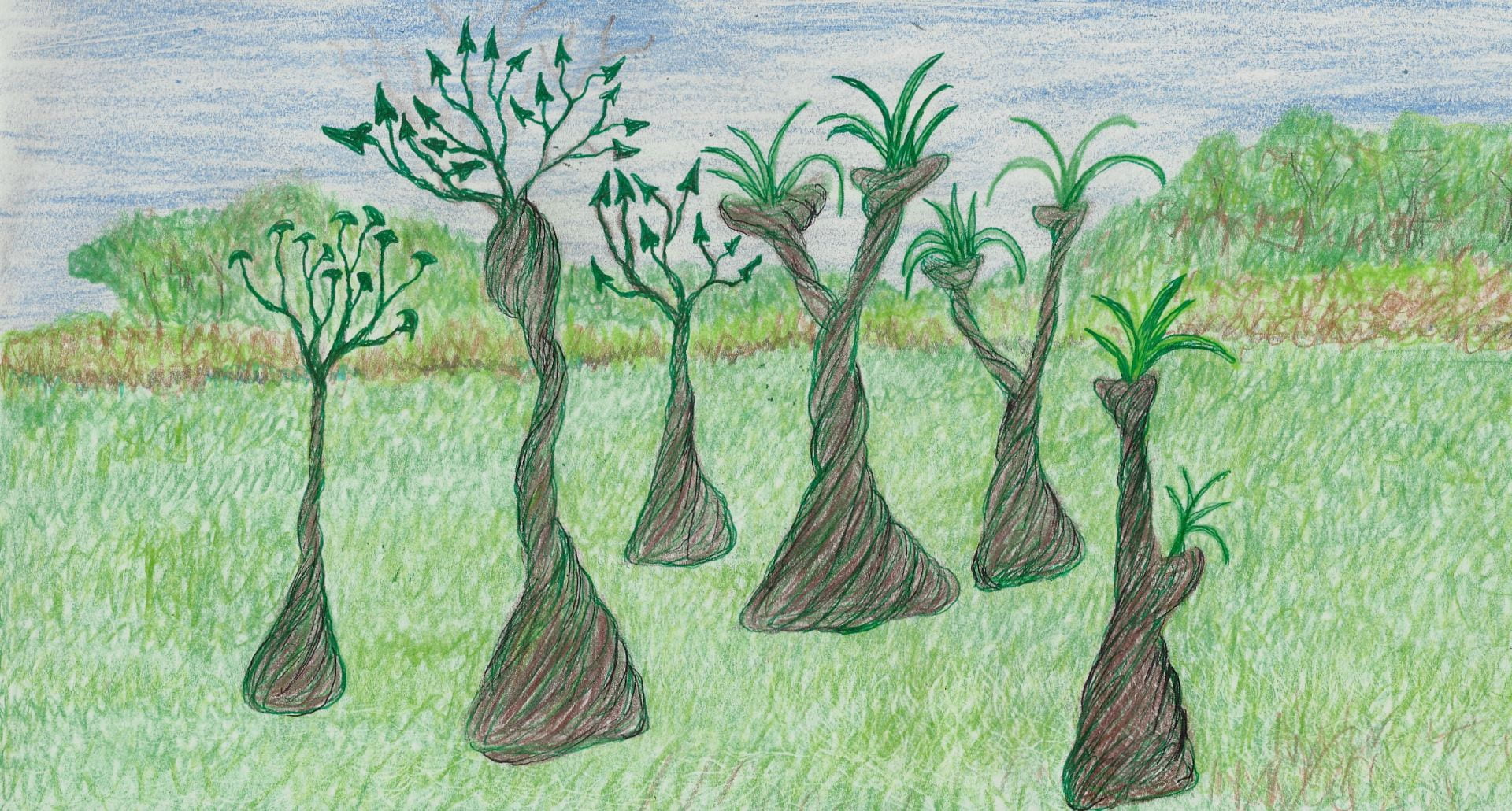 Ted Hinman Spring 2021 Independent Study