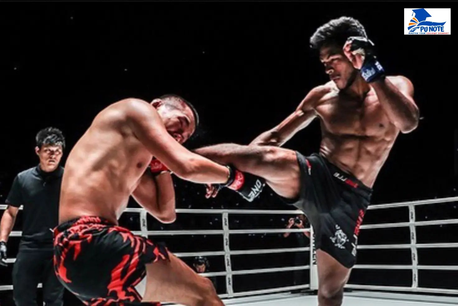 Rabindra Dhant MMA