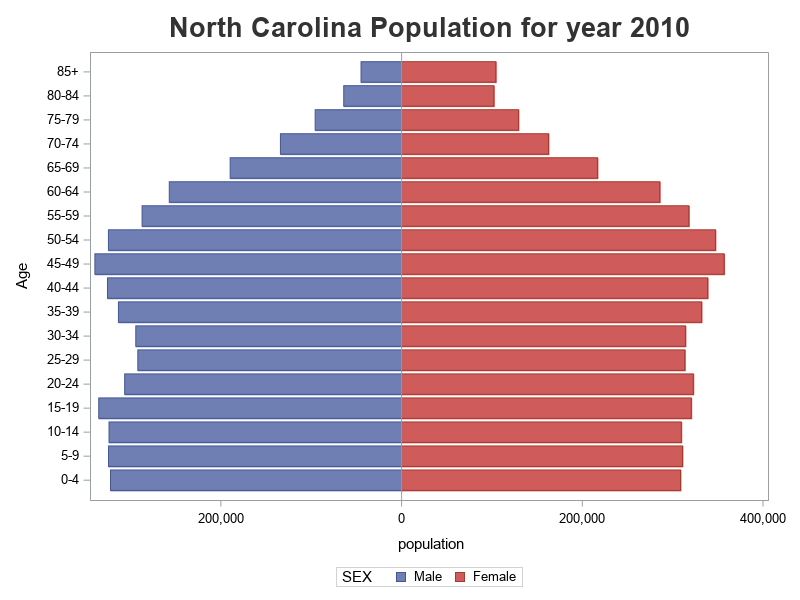 Analyzing age and gender distribution, with a pyramid chart - Graphically  Speaking