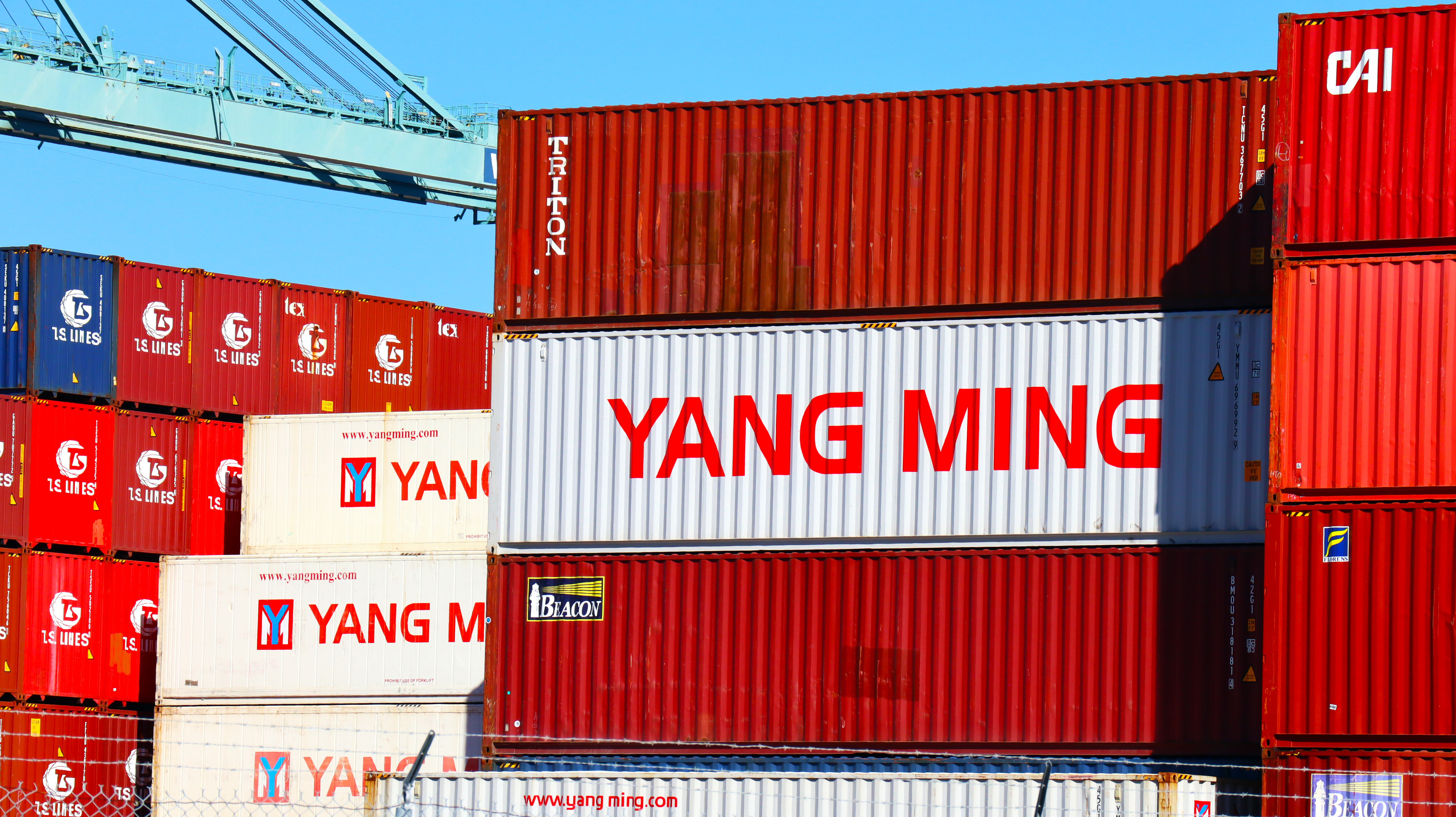 トレーラー　『YANG MING LINE』未使用 How to Track Your Yang Ming Shipment Like a Pro (2025 Guide