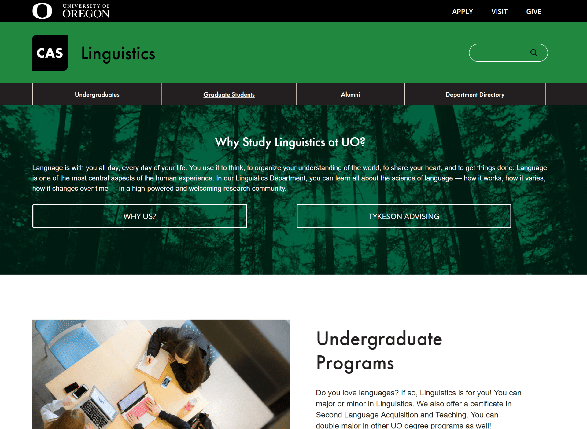 Linguistics 2019 website screenshot