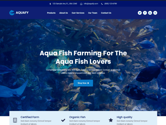 Free Aquafy Starter WordPress Theme Download - Blogwings