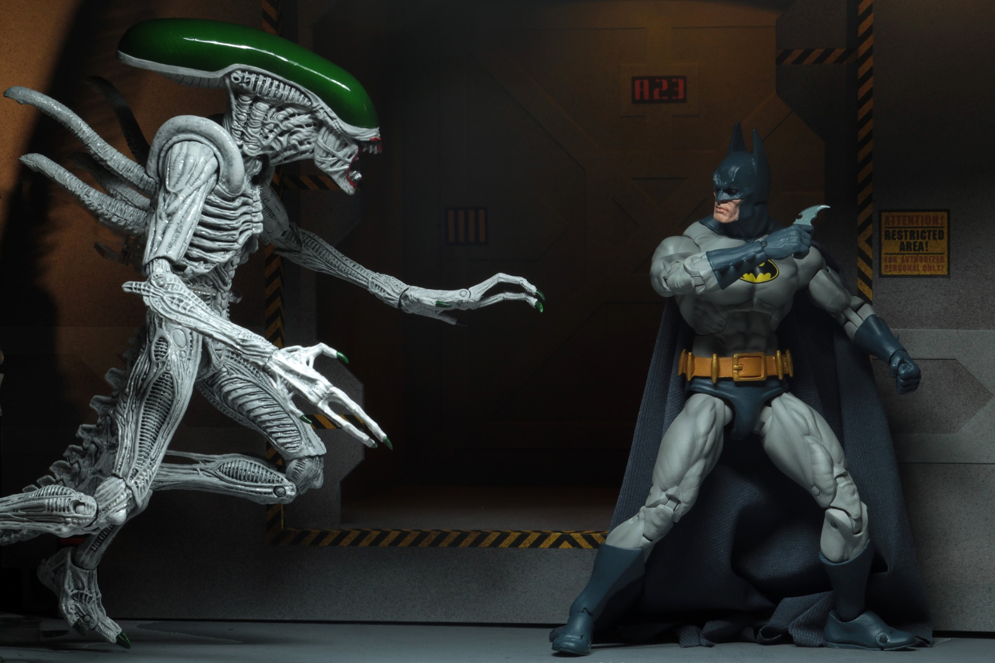 NECA's Batman vs. 
