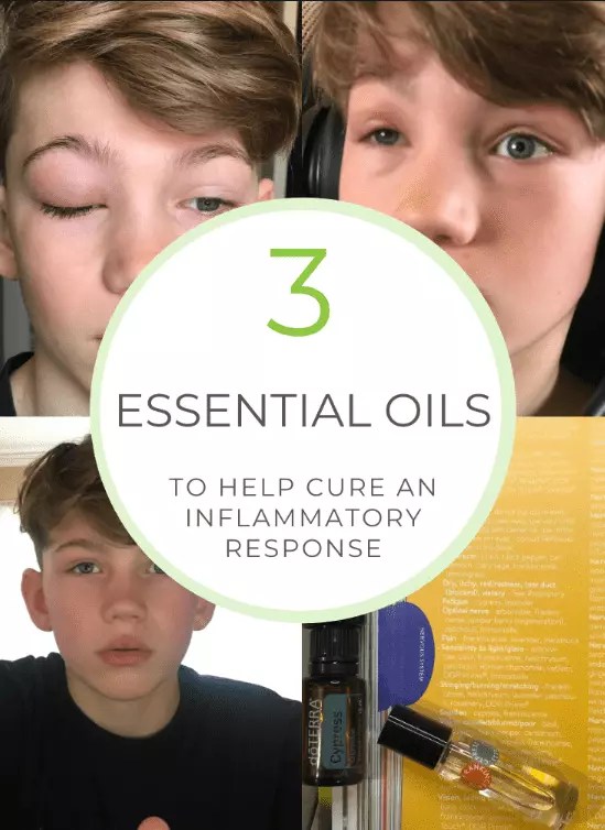 Essential Oils for Inflammation Bloom in Clean