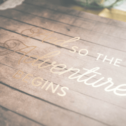 From Idea to Reality: The Journey of Launching Bloom with Adventure