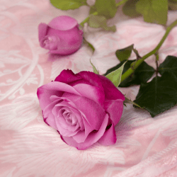 Love Yourself First: 7 Journal Prompts to Ignite Self-Love