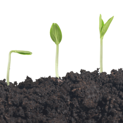 2023 Reflections: A Journey of Growth & Gratitudes