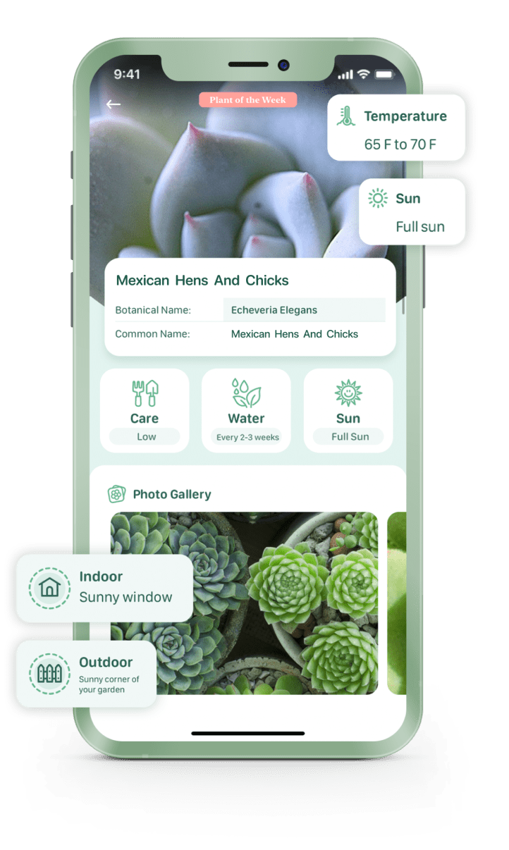 Clickhelp Blossom Update - Download Beautiful Abstract Texture | Full HD