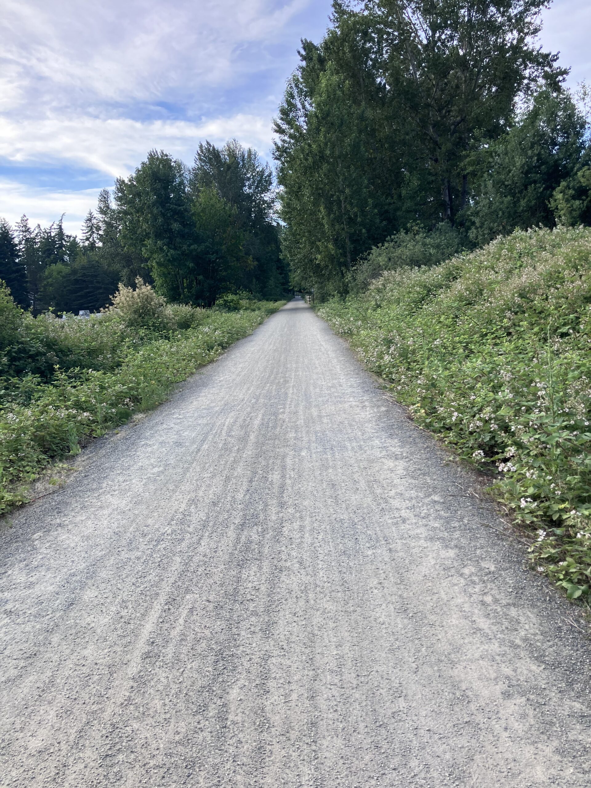 Straight path in nature