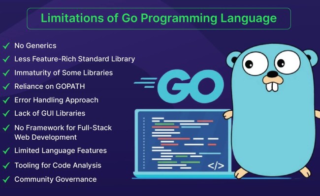 Go Programming Language: BloxBytes' Mini Guide