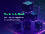 Understanding Blockchain Hash Security Mechanism Explained
