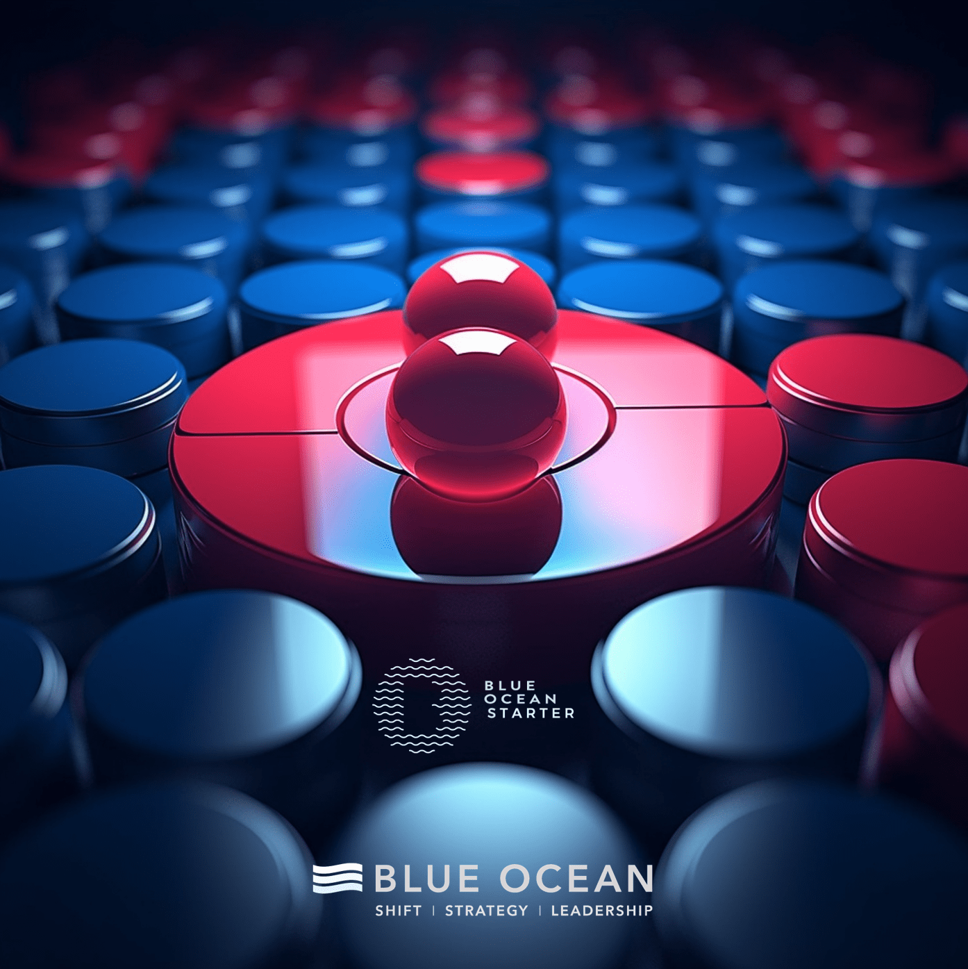 Blue Ocean STARTER 2024 Blue Ocean Strategy Awards