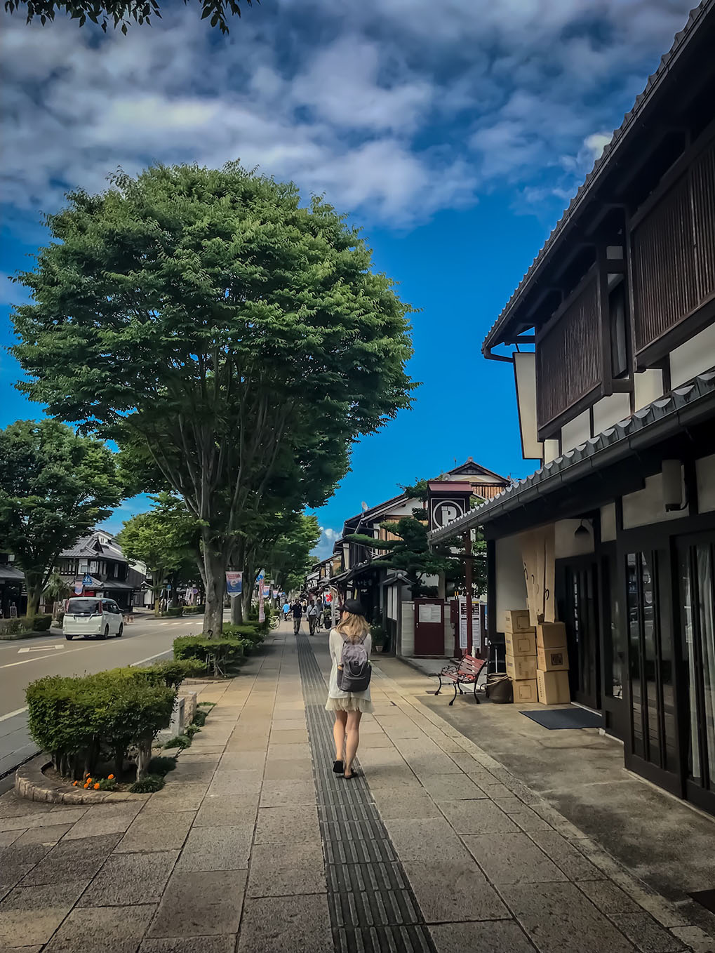 castle road Hikone