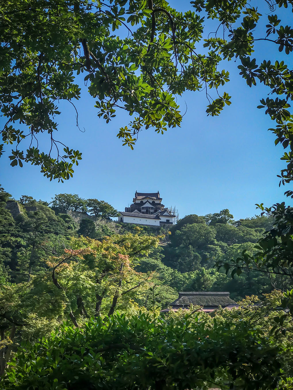 Hikone Castle